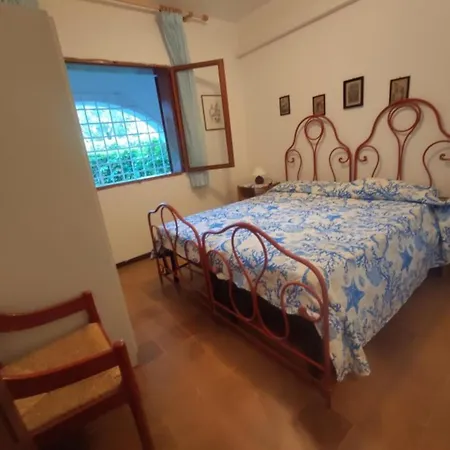 Sunny Garden Flat Near The Sea And The Centre 公寓 *